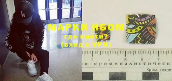 хмурый Богородицк