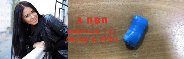 сатива Богородск