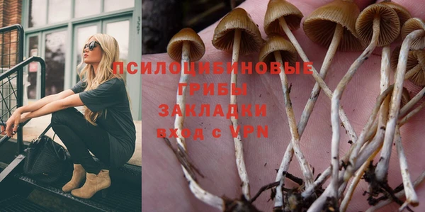 спиды Богданович
