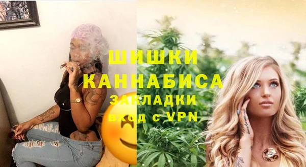 сатива Богородск